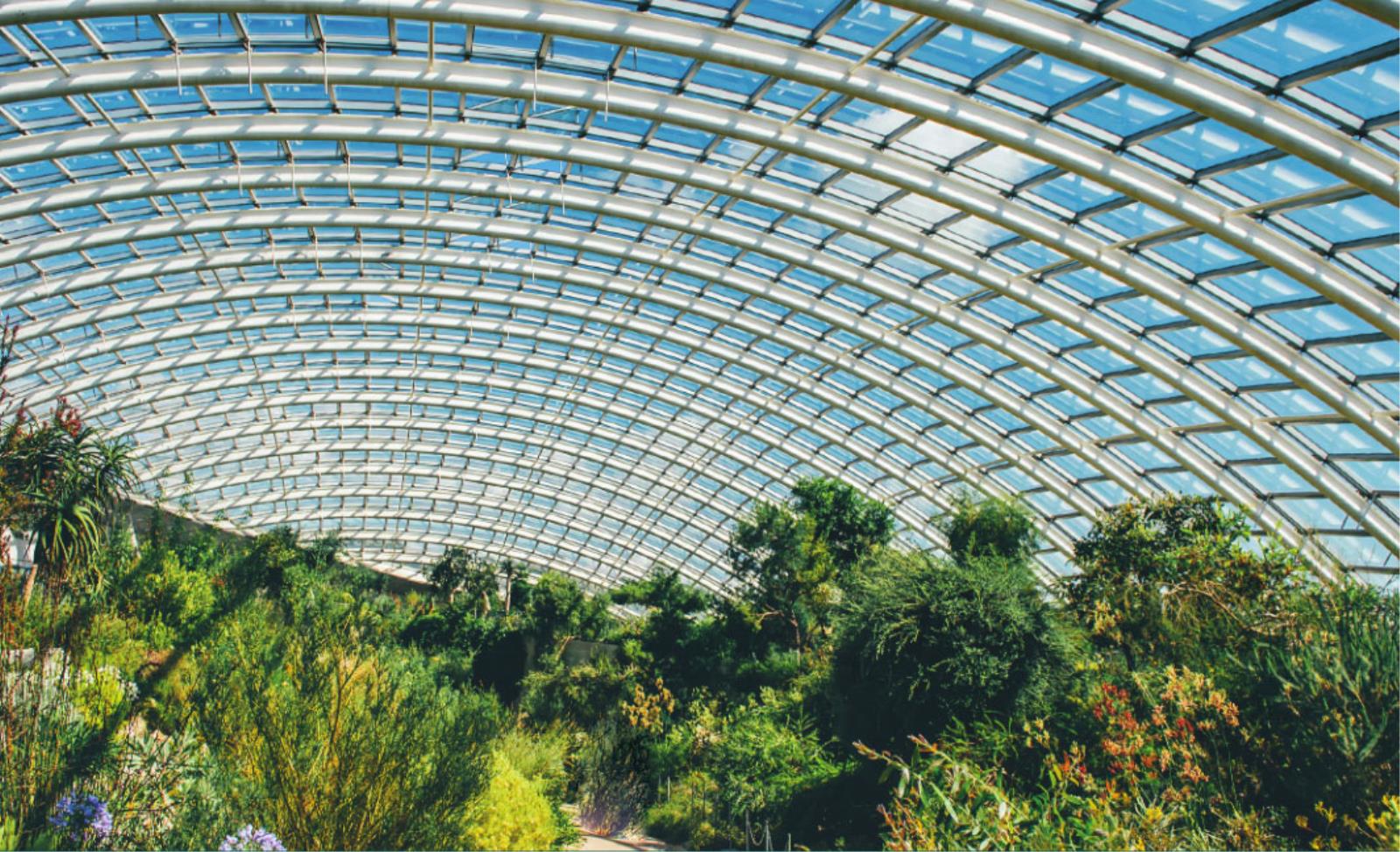 Cardigan Turkey & Tinsel 7 - 11 December 2026 Tours by Celtic Travel Holidays Wales